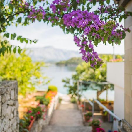 Apartments By The Sea Lumbarda, Korcula - 4446 Εξωτερικό φωτογραφία