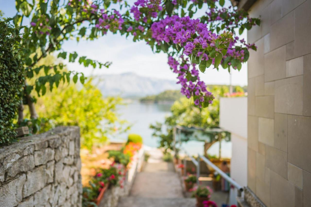 Apartments By The Sea Lumbarda, Korcula - 4446 Εξωτερικό φωτογραφία