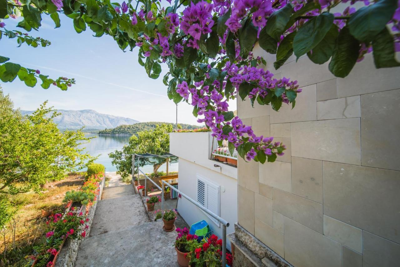 Apartments By The Sea Lumbarda, Korcula - 4446 Εξωτερικό φωτογραφία